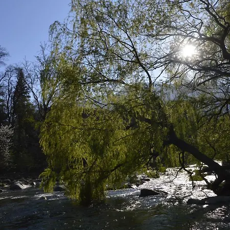 Apartment Trojer Meran